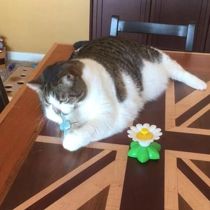 Interactive Bird Toy for Cats - Purrfect Play-Butterfly-Nora Luxe