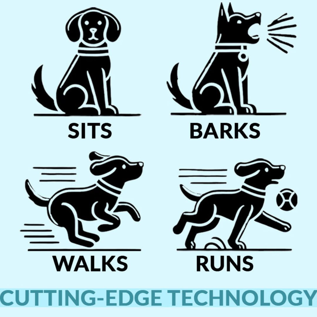 Infographic showing the puppy sitting, barking, walking and running.