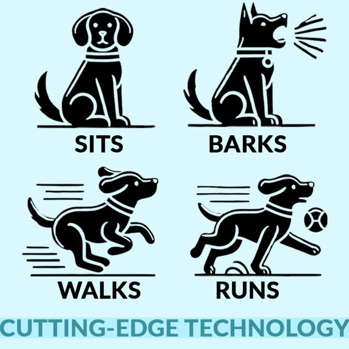 Infographic showing the puppy sitting, barking, walking and running.