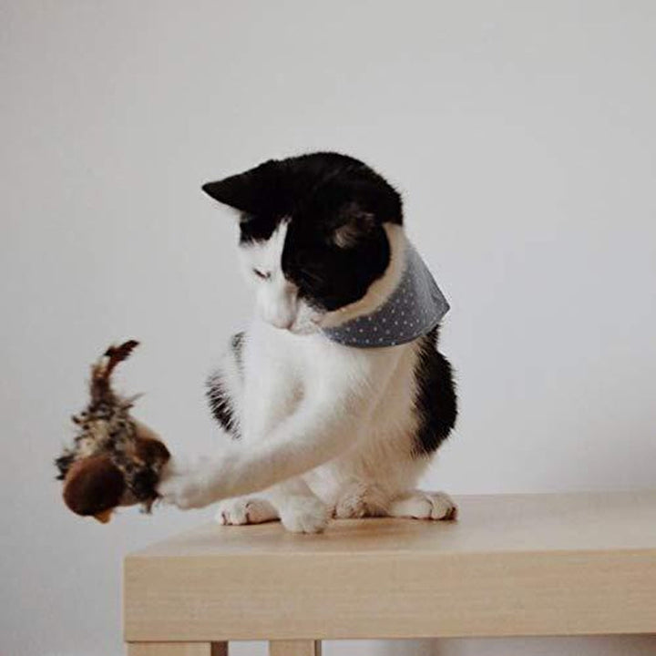Interactive Cat Toy - ChirpBird-Little Bird-Nora Luxe