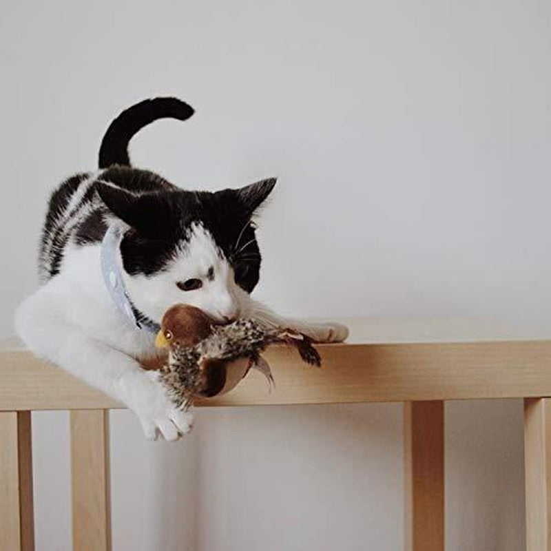 Interactive Cat Toy - ChirpBird-Little Bird-Nora Luxe