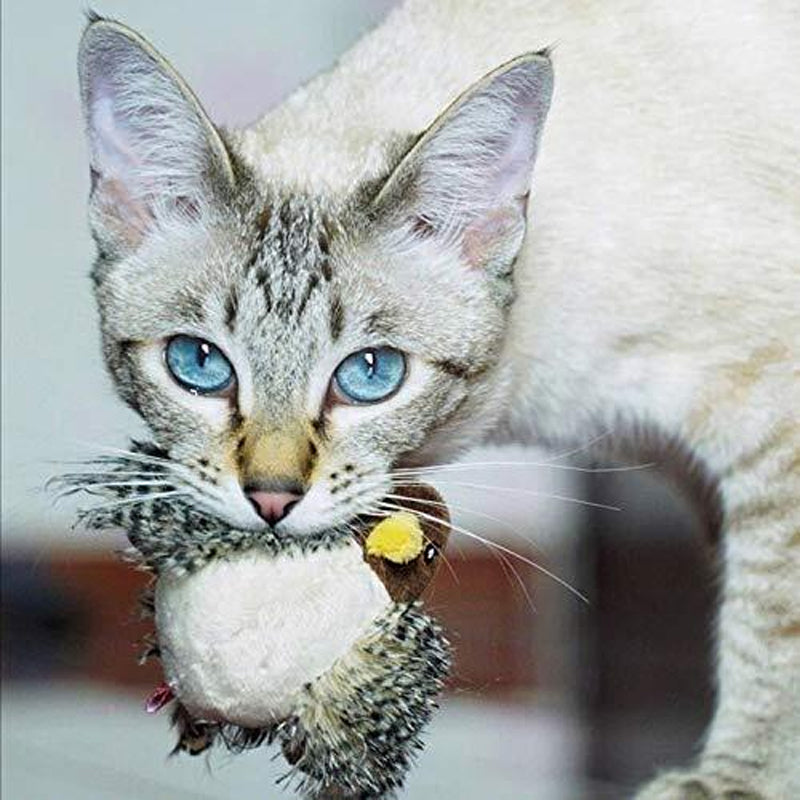 Interactive Cat Toy - ChirpBird-Little Bird-Nora Luxe