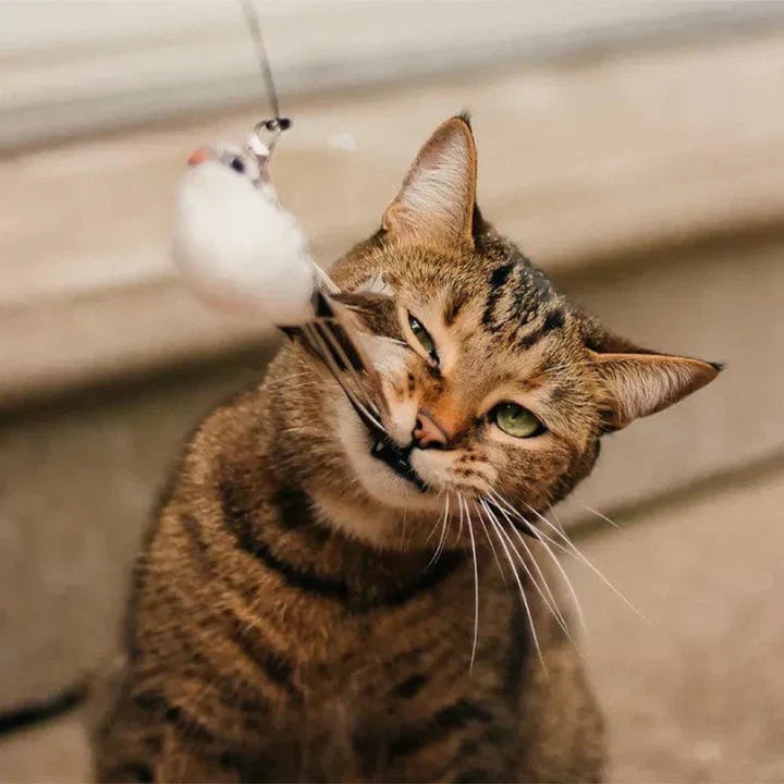 Interactive Cat Toy - FlutterFriend-Nora Luxe