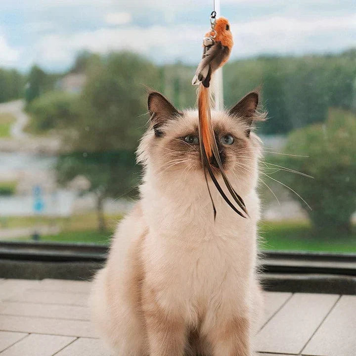 Interactive Cat Toy - FlutterFriend-Nora Luxe