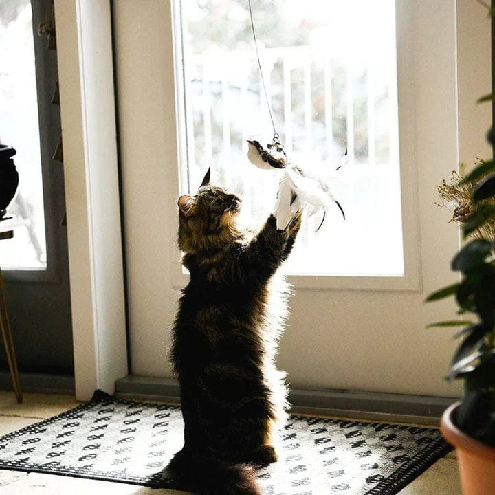Interactive Cat Toy - FlutterFriend-Nora Luxe