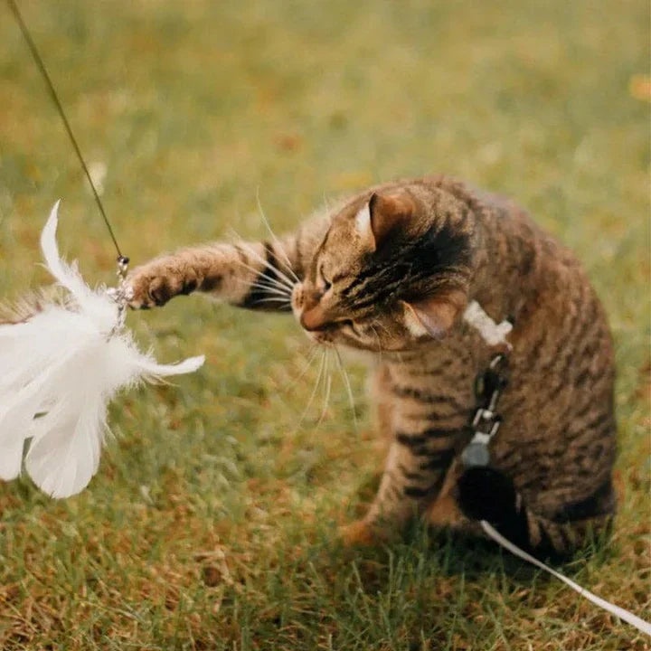 Interactive Cat Toy - FlutterFriend-Nora Luxe