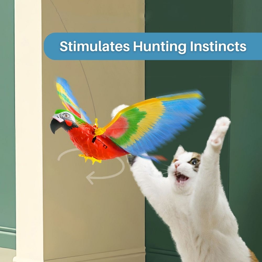 Interactive Cat Toy for Fun and Exercise - FeatherFlight™-Parrot-Nora Luxe
