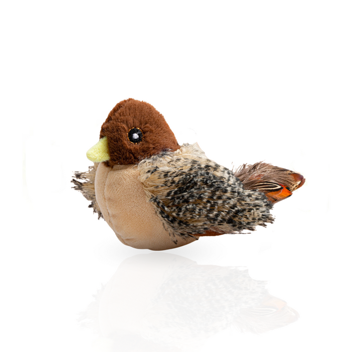 Interactive Cat Toy with Sound and Motion – FlappyChirp-Movement + Sound-Nora Luxe