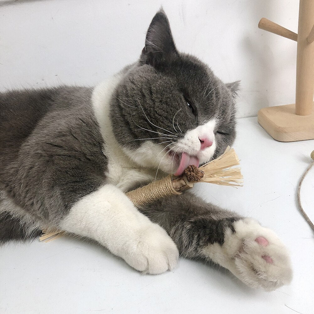 Interactive Chew Sticks for Cats - ChewPlay-Nora Luxe