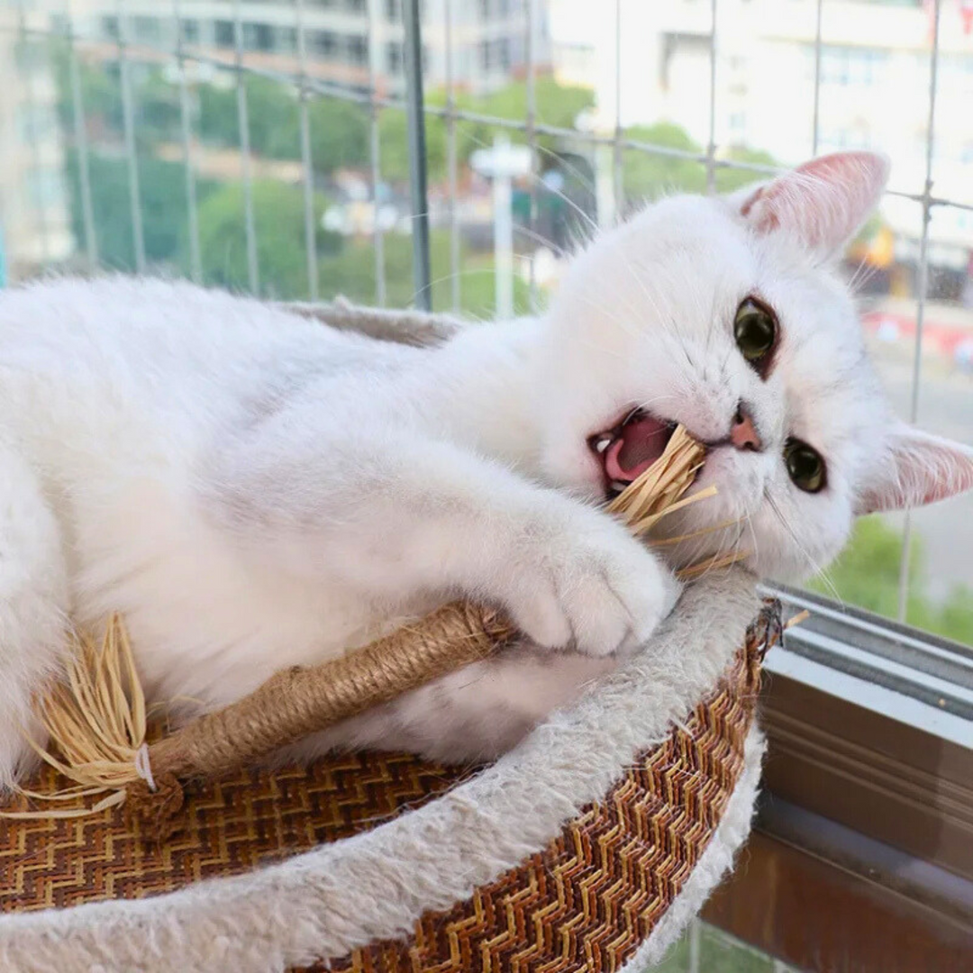 Interactive Chew Sticks for Cats - ChewPlay-Nora Luxe