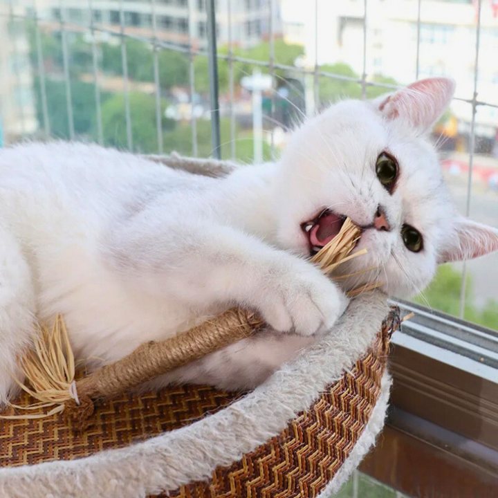 Interactive Chew Sticks for Cats - ChewPlay-Nora Luxe