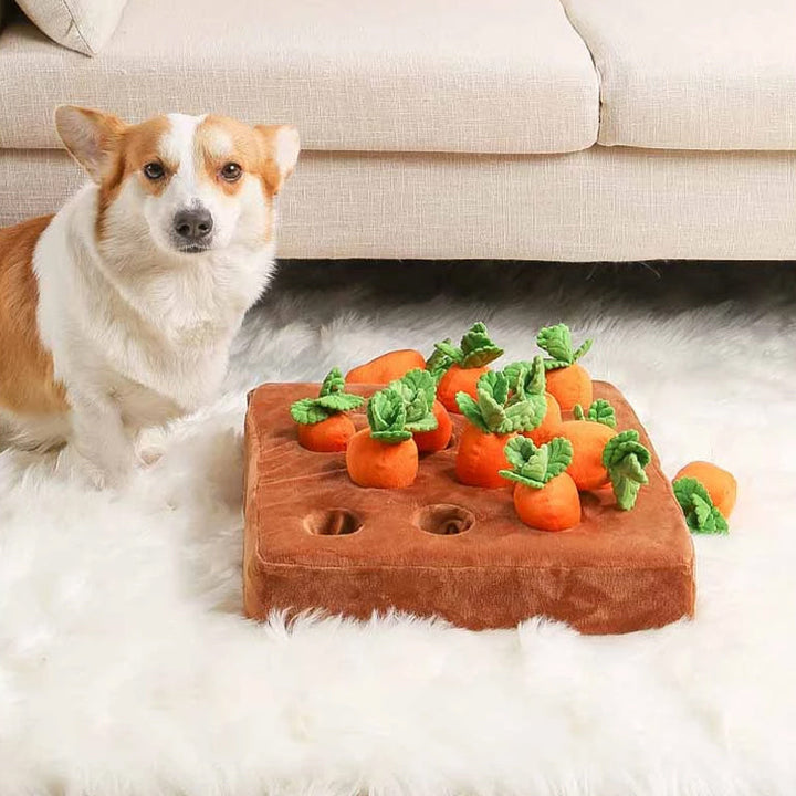 Interactive Detective Toy - Detective Carrot Garden-Nora Luxe
