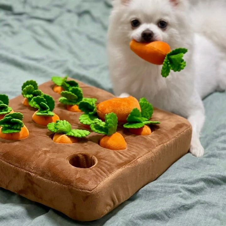Interactive Detective Toy - Detective Carrot Garden-Nora Luxe