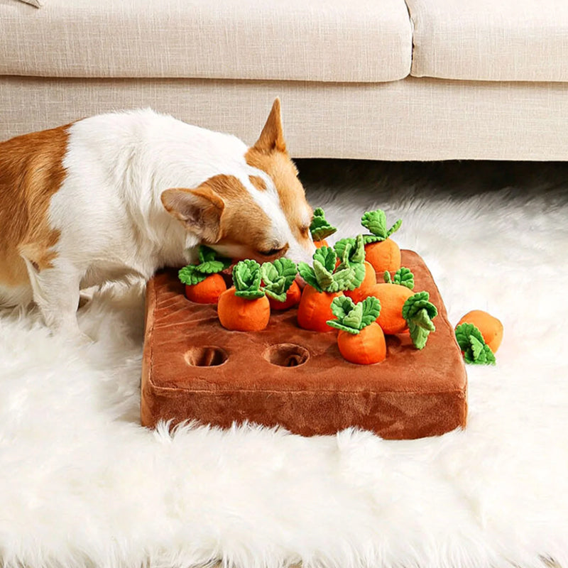 Interactive Detective Toy - Detective Carrot Garden-Nora Luxe