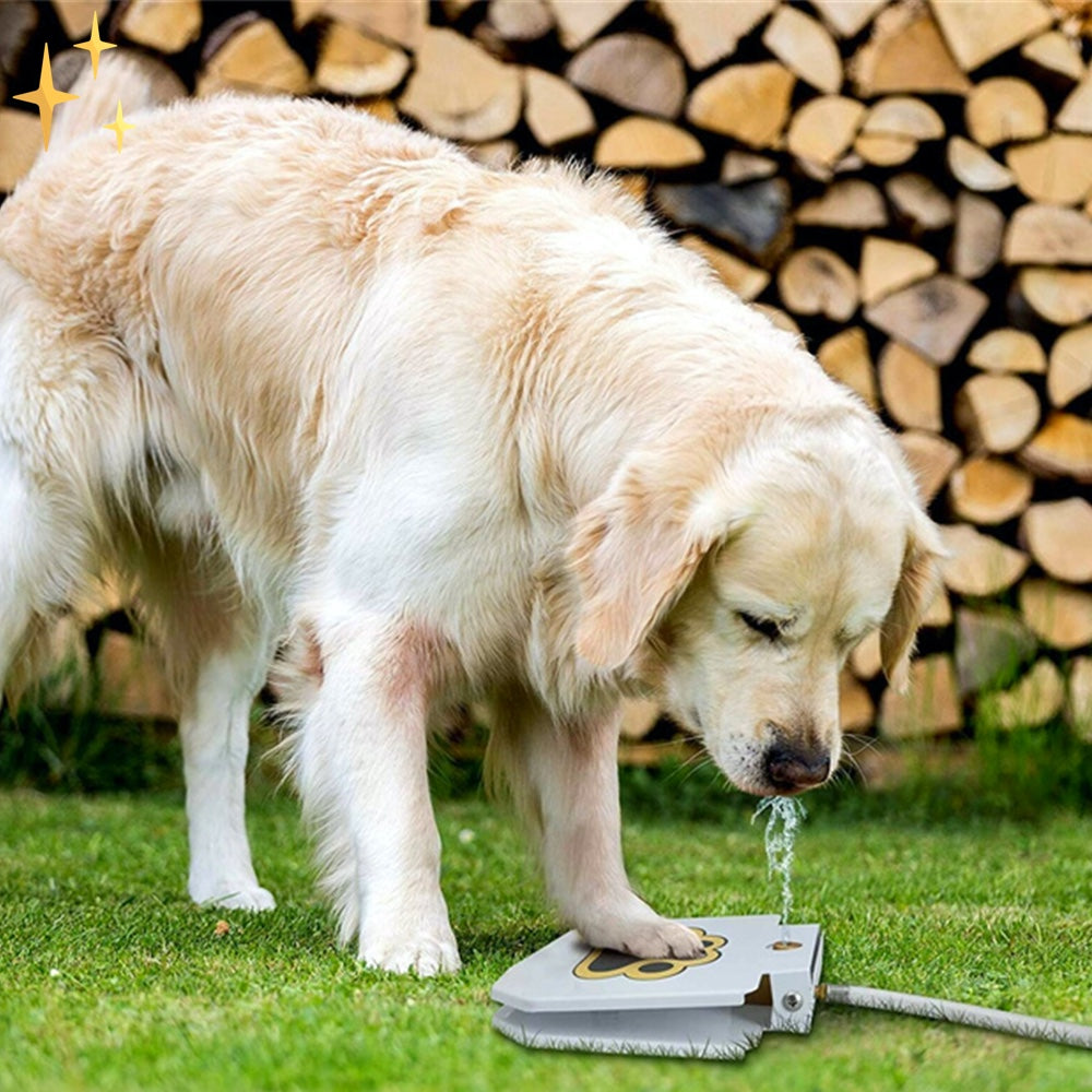 Interactive Dog Fountain Toy - PawSplash-Nora Luxe