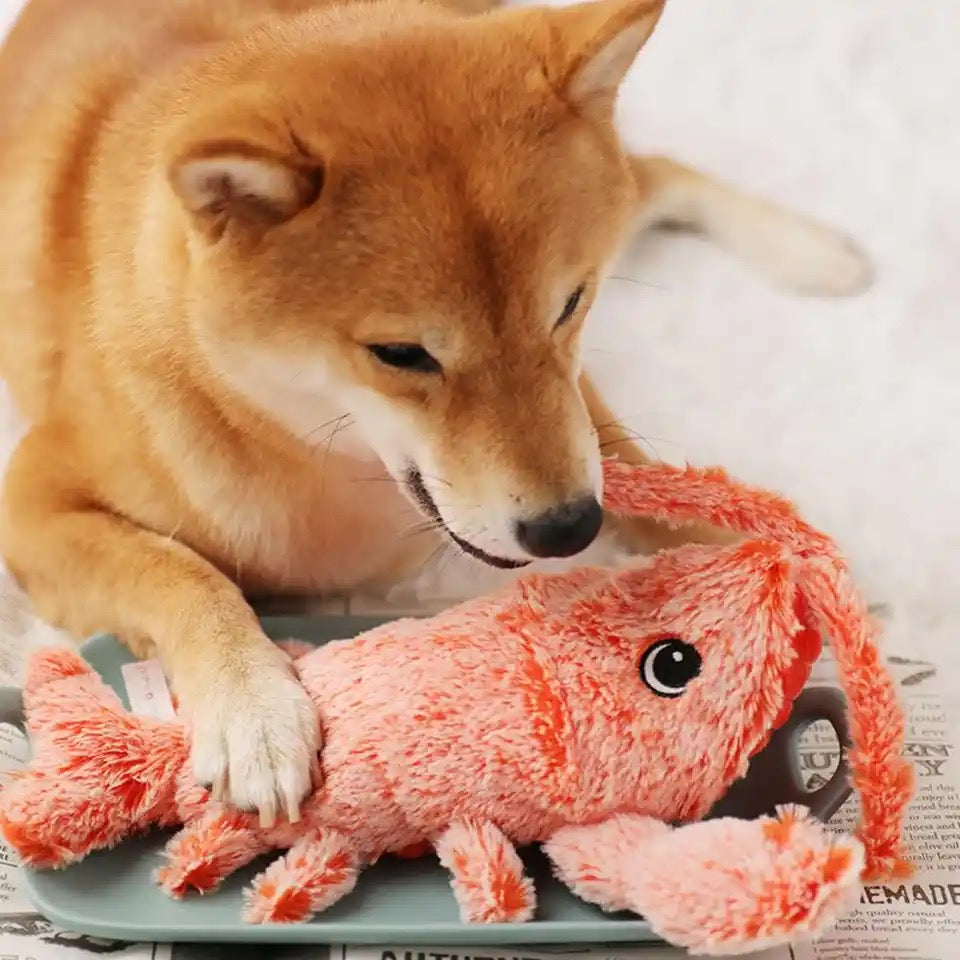 Interactive Dog Toy - BouncyLobster-Nora Luxe