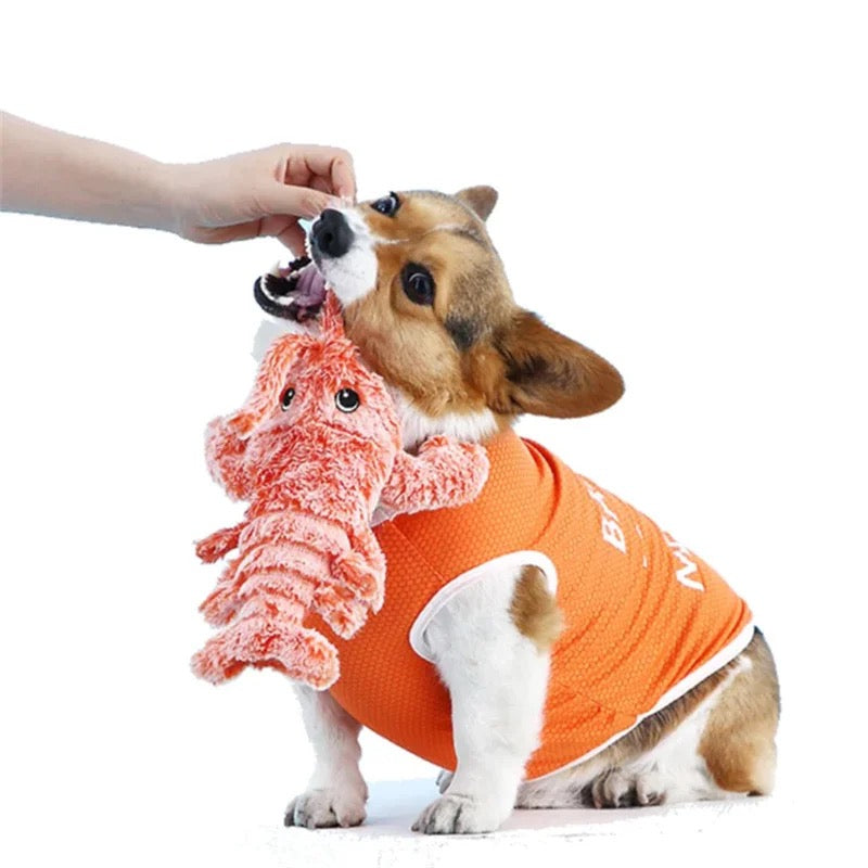 Interactive Dog Toy - BouncyLobster-Nora Luxe