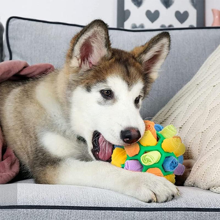 Interactive Dog Toy - SnuffleFun-Red-Nora Luxe