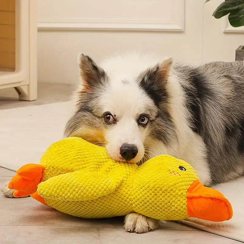 Interactive Dog Toy with Sound & Teeth Cleaning - FlappyDuck-8.66 * 9.84 inches-Nora Luxe