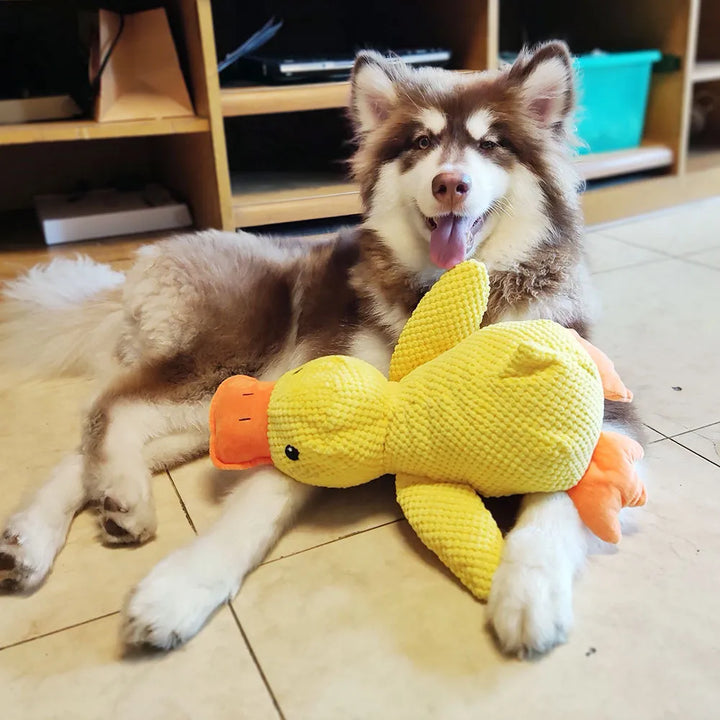 Interactive Dog Toy with Sound & Teeth Cleaning - FlappyDuck-8.66 * 9.84 inches-Nora Luxe