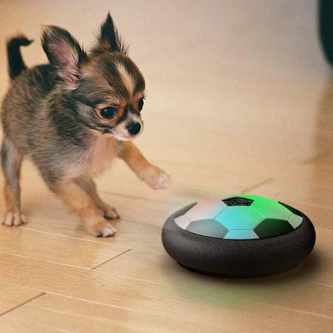 Interactive Football Toy for Dogs - PlayBall Pro-Nora Luxe