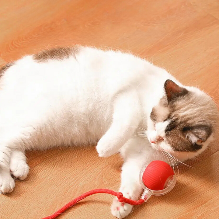 Interactive Hunter Ball for Cats - PouncePal-Red-Nora Luxe
