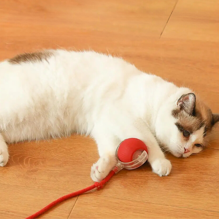 Interactive Hunter Ball for Cats - PouncePal-Red-Nora Luxe