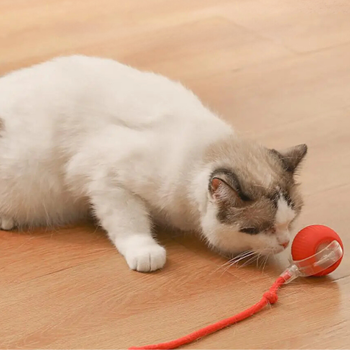 Interactive Hunter Ball for Cats - PouncePal-Red-Nora Luxe
