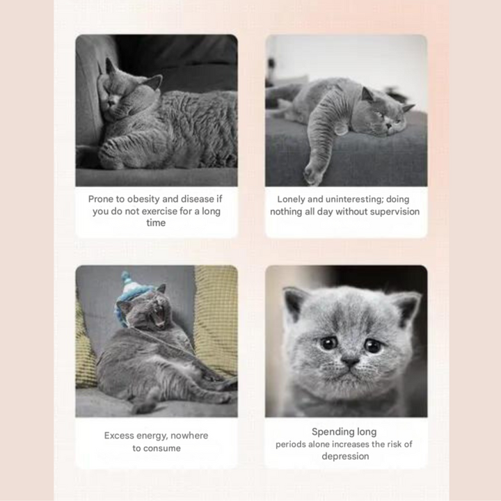 Interactive Laser Cat Toy - LaserPaw-Nora Luxe