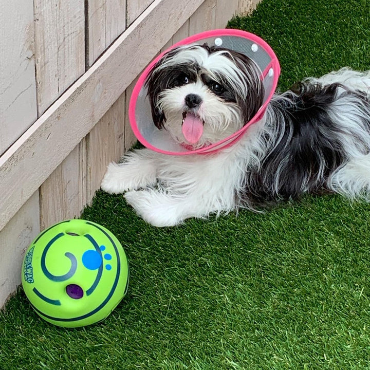 Interactive Play Ball for Dogs - GiggleSphere-Nora Luxe