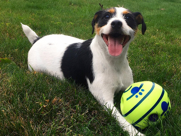 Interactive Play Ball for Dogs - GiggleSphere-Nora Luxe