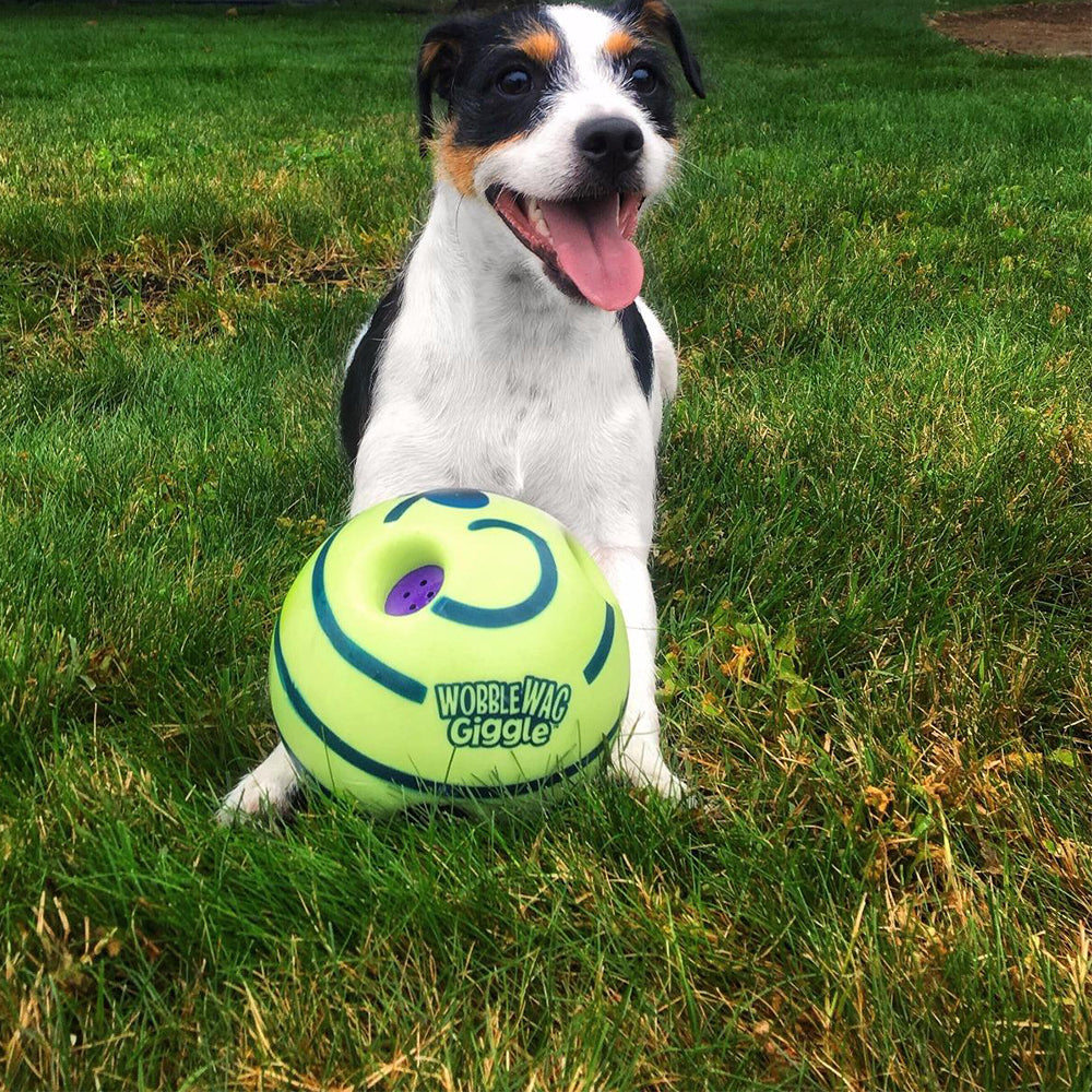 Interactive Play Ball for Dogs - GiggleSphere-Nora Luxe