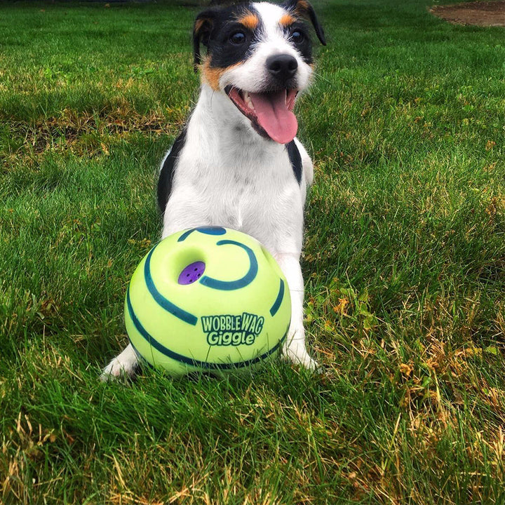 Interactive Play Ball for Dogs - GiggleSphere-Nora Luxe