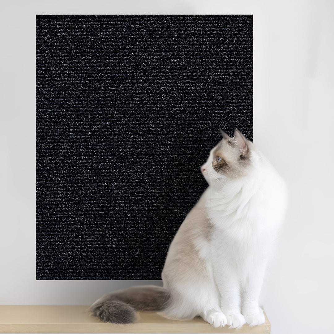 Large black mat mounted on a white wall above a shelf, with a white cat sitting in front looking at it. 8