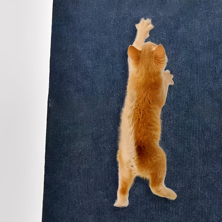 Orange kitten stretched tall against a dark blue mat, reaching up with its paws to scratch the textured surface. 5