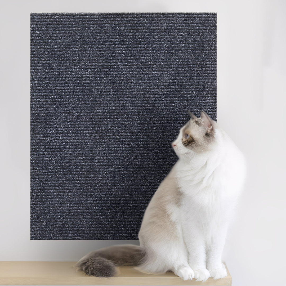 Large dark gray mat mounted on a white wall above a shelf, with a white cat sitting in front looking at it. 7