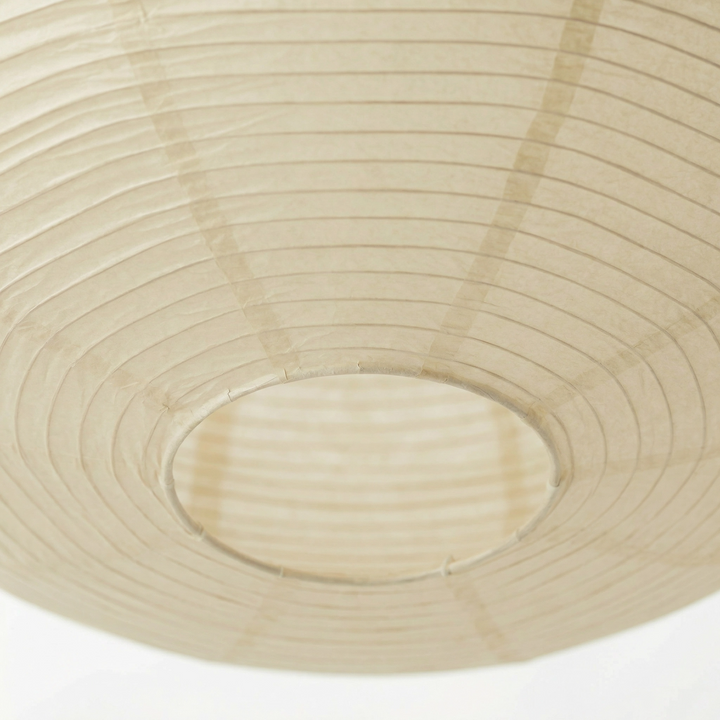 Detail of the crinkled paper texture and horizontal ribs around the circular bottom opening, with the pale interior visible. 6