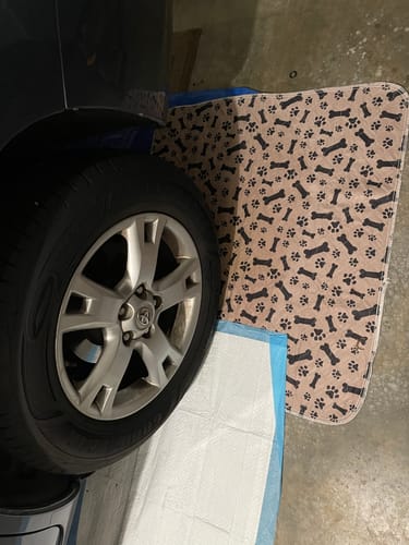 Leak-proof Pet Mat - PetPaws Comfort Mat-Classic-Nora Luxe
