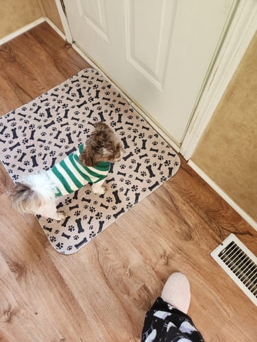 Leak-proof Pet Mat - PetPaws Comfort Mat-Classic-Nora Luxe