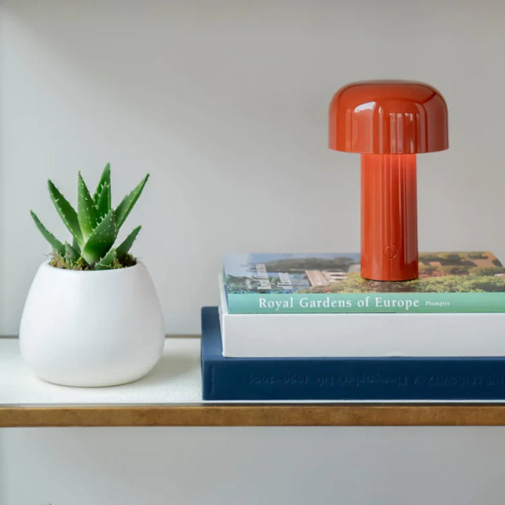 Red mushroom lamp on a stack of books next to a potted succulent on a shelf 17