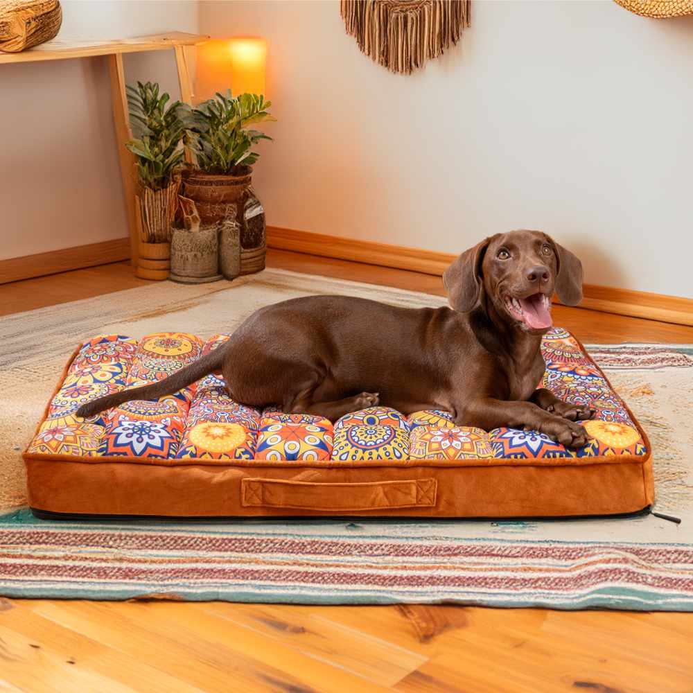Luxurious Moroccan Style Dog Bed - CasablancaDream-Brown-M-Nora Luxe