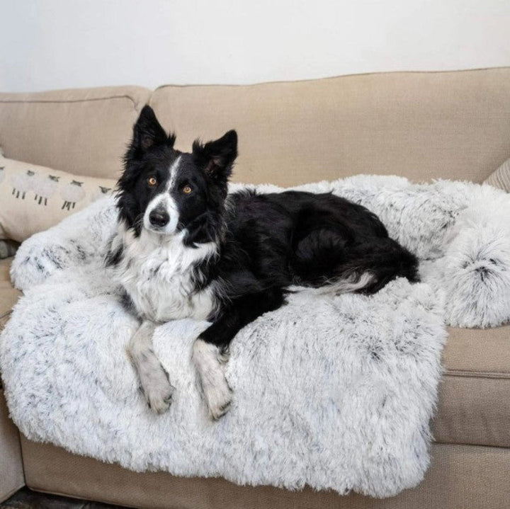 Luxury Dog Sofa Bed - PawLounge-Gray-S (35.43 x 29.53 x 5.91 inches)-Not Washable-Nora Luxe