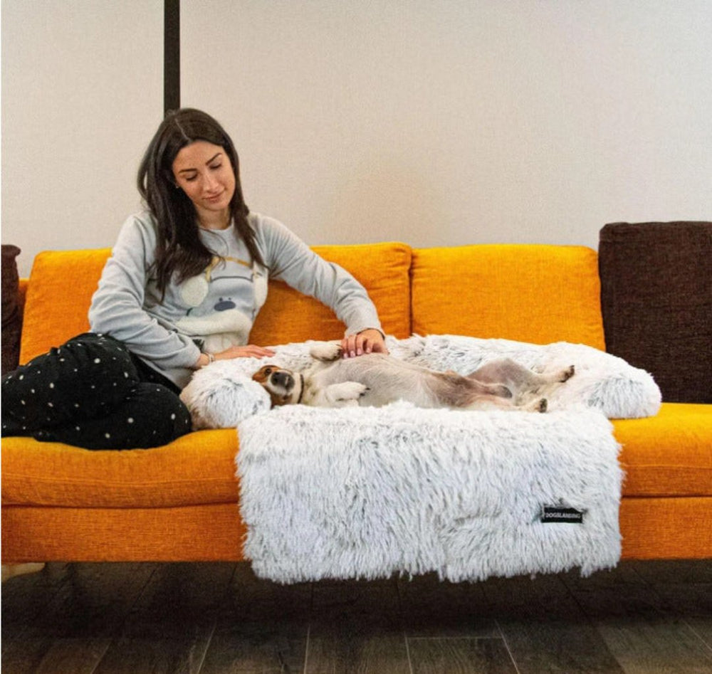 Luxury Dog Sofa Bed - PawLounge-Gray-S (35.43 x 29.53 x 5.91 inches)-Not Washable-Nora Luxe