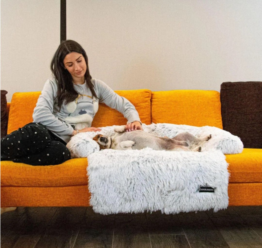 Luxury Dog Sofa Bed - PawLounge-Gray-S (35.43 x 29.53 x 5.91 inches)-Not Washable-Nora Luxe