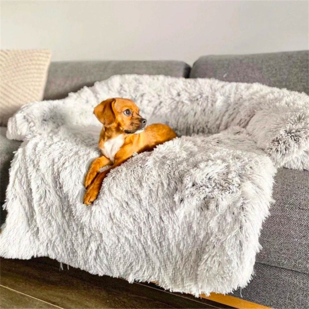 Luxury Dog Sofa Bed - PawLounge-Gray-S (35.43 x 29.53 x 5.91 inches)-Not Washable-Nora Luxe