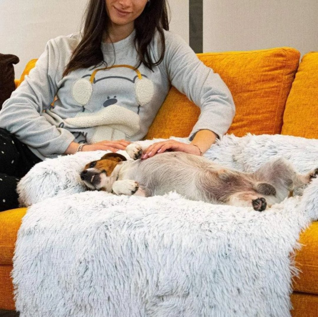 Luxury Dog Sofa Bed - PawLounge-Gray-S (35.43 x 29.53 x 5.91 inches)-Not Washable-Nora Luxe