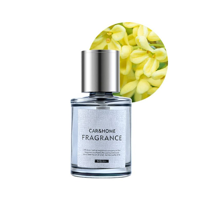 Luxury Fragrance Diffuser for a Fresh Car - AromaDrive-Osmanthus-Nora Luxe