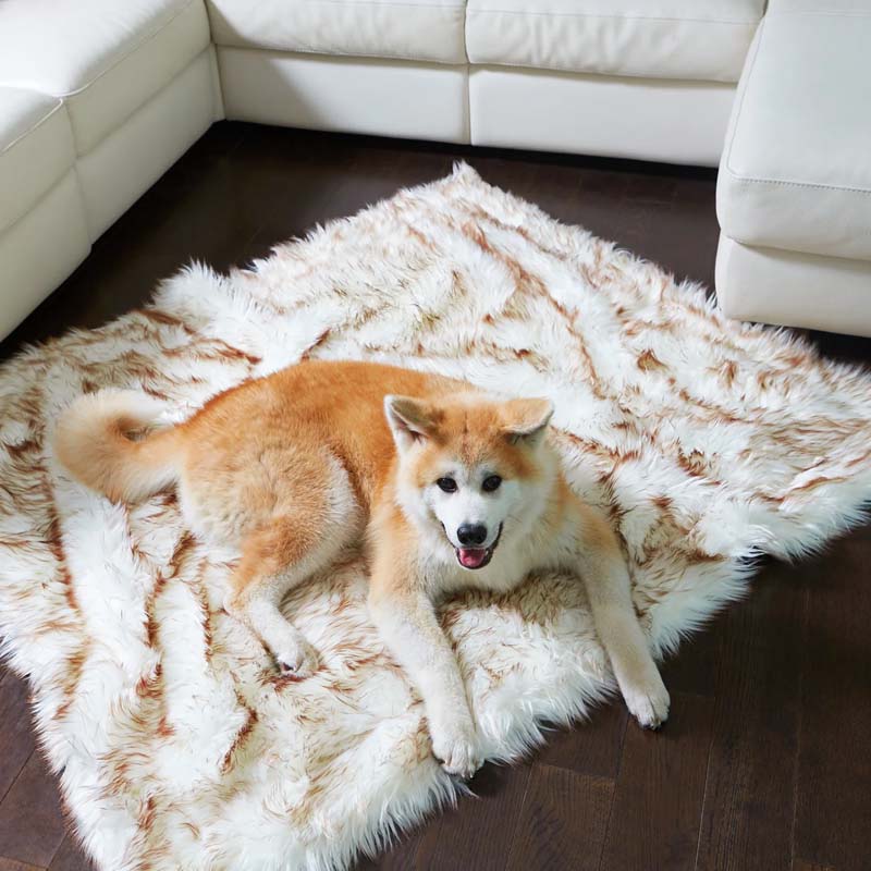 Luxury Waterproof Pet Blanket - CozyPaw™-White/brown-29.53″ × 39.37″-Nora Luxe