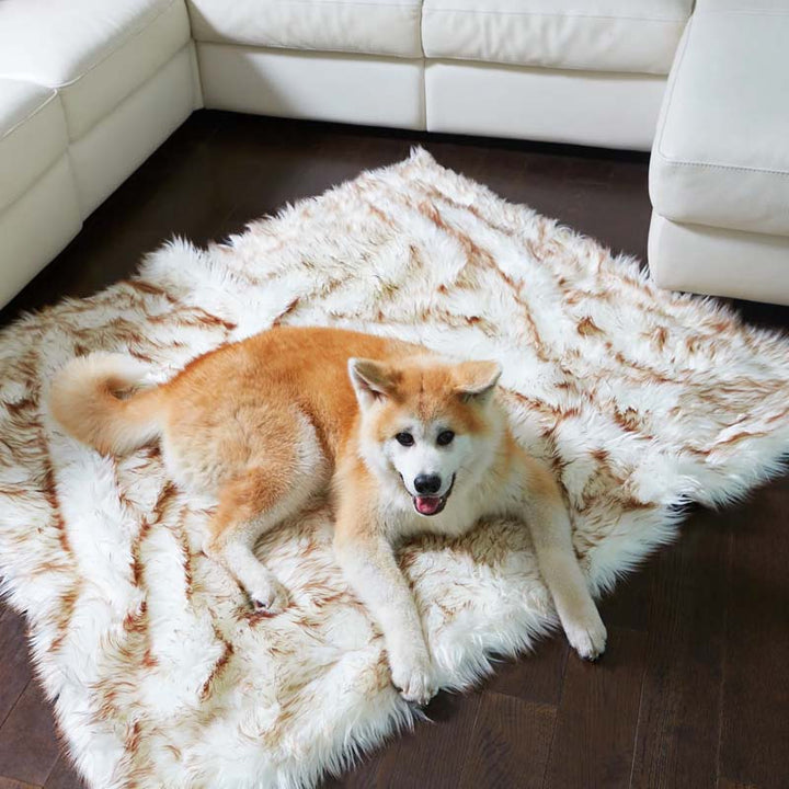 Luxury Waterproof Pet Blanket - CozyPaw™-White/brown-29.53″ × 39.37″-Nora Luxe