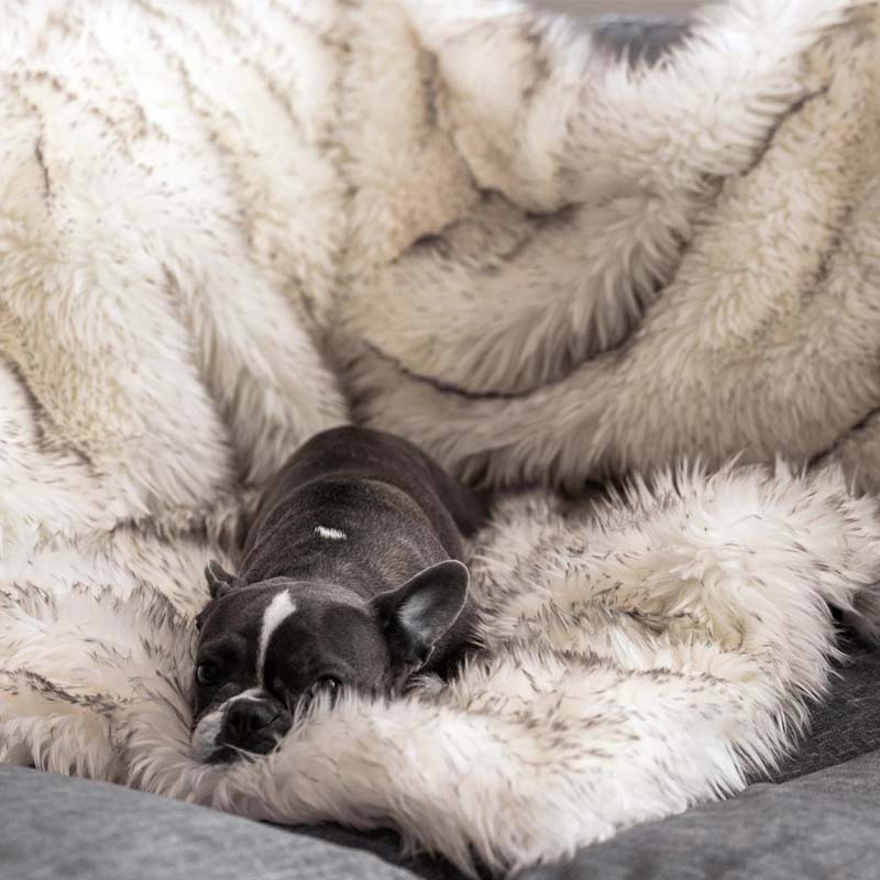 Luxury Waterproof Pet Blanket - CozyPaw™-White/brown-29.53″ × 39.37″-Nora Luxe